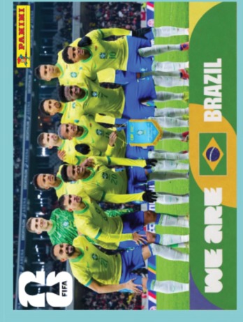 Team Photo — figurinha BRA-13