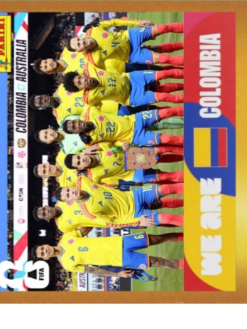 Team Photo — figurinha COL-13