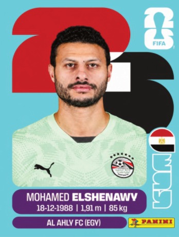 Mohamed El Shenawy