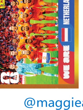 Team Photo — figurinha NED-13