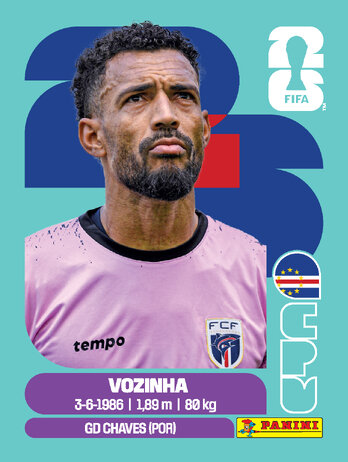 Vozinha