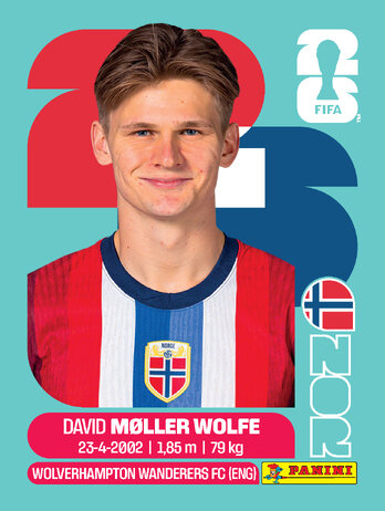 David Møller Wolfe